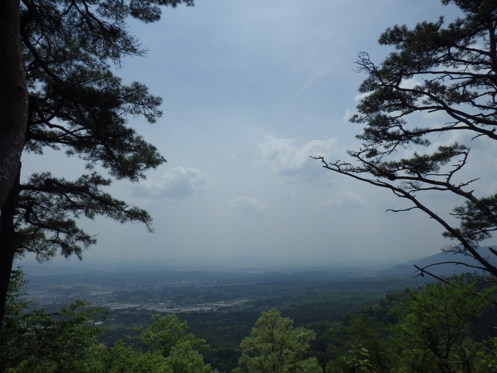 2019年3月10日『雨がうれしいと思ってしまう時期』