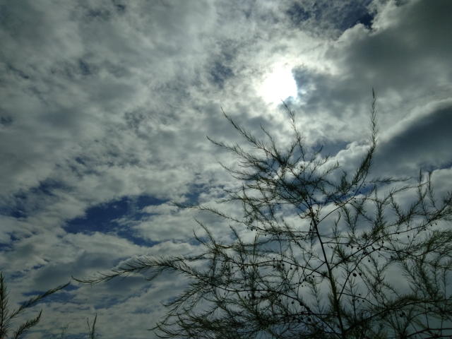 2019年5月5日 時間の流れを様々なことから感じる。