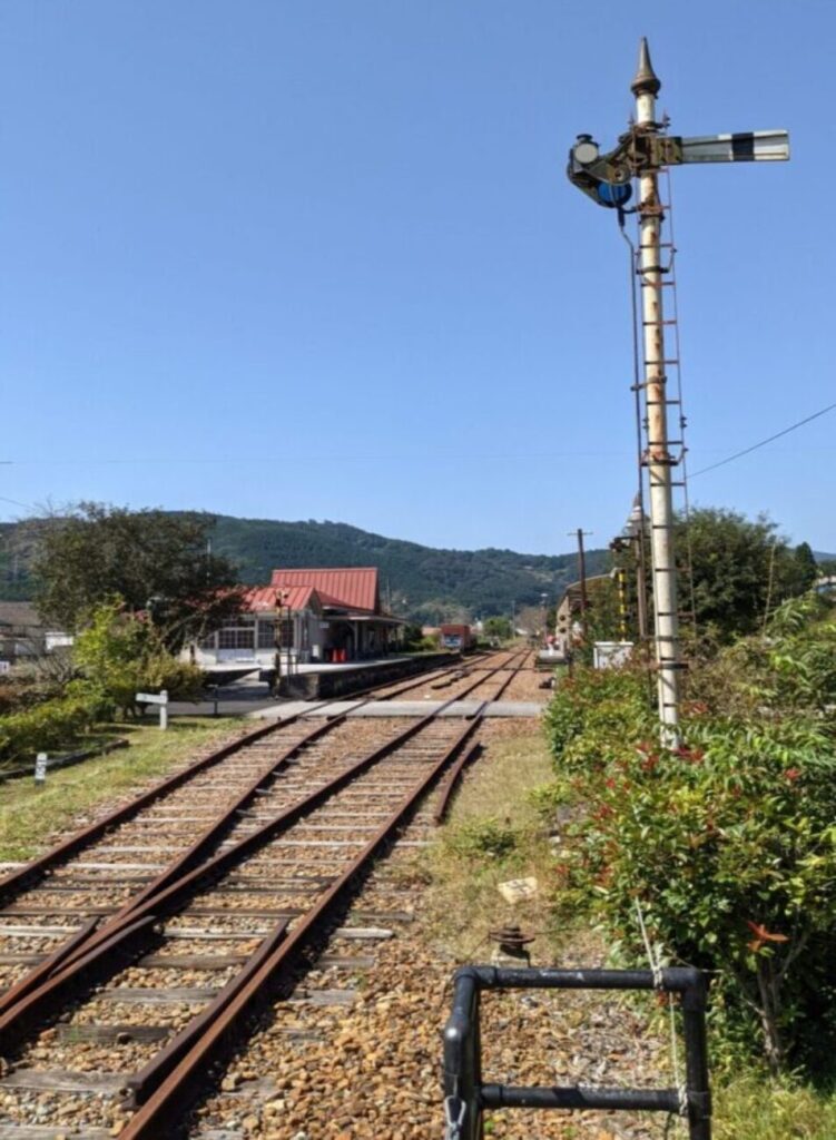 白菜収穫とヘルニアの危機。翌日の痛みを減らすための「ルーチン」という試行錯誤