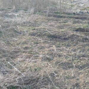 寒くなった。心も寒くなって仕事場での人間関係がつらくありませんか？