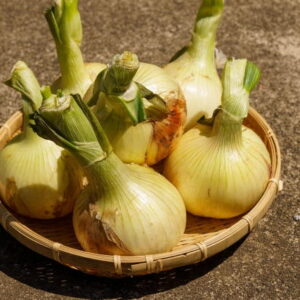 【意外な事実】日本の玉ねぎ生産量No.1は北海道！甘〜い玉ねぎの秘密も公開！