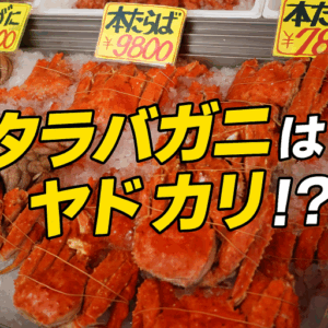 冬の鍋で騙される！？タラバガニとアブラガニの見分け方